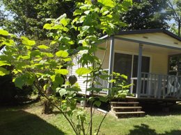 Camping Pas Cher vous présente avec son site Officiel campingpascher.fr, le Camping Maeva Escapades Au P'tit Bonheur classé 3 étoiles, situé sur la commune de Peyrillac Et Millac dans le département Dordogne (Aquitaine) en France. Le camping Maeva Escapades Au P'tit Bonheur, vous présente un hébergement de type mobil-home de 24 m² pour 4 personnes. Le camping Maeva Escapades Au P'tit Bonheur vous propose du vendredi 01 mai au vendredi 08 mai 2026 pour 7 nuits à 308€. Cette location propose 59 dates différentes pour réserver votre séjour. Découvrez également les 24 autres gammes d'hébergements du camping. Les Avis clients pour le Camping Maeva Escapades Au P'tit Bonheur sont excellents avec une note moyenne de 8 sur 10. Piscine chauffée, Piscine extérieure, Animations familiales, Club enfants, Aire de jeux enfants, Baby-foot, Canoë-kayak, Cyclisme, Ping-pong, Piscine, Pétanque, Randonnée, Structure gonflable enfants, Terrain multisports, Trampoline, Bar, Dépôt de pain, Snack/Bar, Épicerie,... En savoir plus : cliquez-ICI.