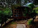 chalet - camping U Pirellu photo 3