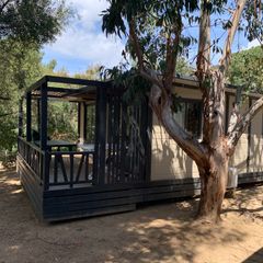 Camping Pas Cher vous présente avec son site Officiel campingpascher.fr, le Camping Vigna Maggiore classé 3 étoiles, situé sur la commune de Olmeto dans le département Corse Du Sud (Corse) en France. Le camping Vigna Maggiore vous propose un hébergement de type chalet de 47 m². L'établissement vous propose 4 autres types d'hébergements. Découvrez tous nos séjours à petits prix dans la commune et aux alentours de Olmeto du département : Corse Du Sud (Corse). Les Avis clients pour le Camping Vigna Maggiore sont excellents avec une note moyenne de 8 sur 10. MerRivière, Piscine chauffée, Piscine extérieure, Aire de jeux enfants, Canoë-kayak, Parcours sportif, Ping-pong, Planche à voile, Randonnée, Bar, Pizzeria, Snack/Bar, Épicerie,... En savoir plus : cliquez-ICI.