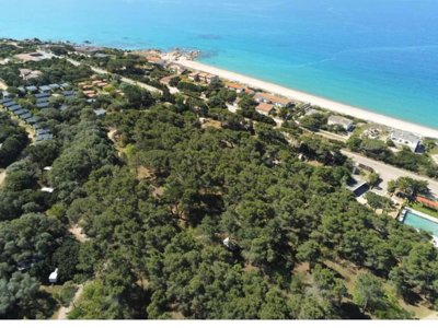 Cliquez pour découvrir toutes les photos de l'ÉTABLISSEMENT ! camping Ras L'Bol photo 13