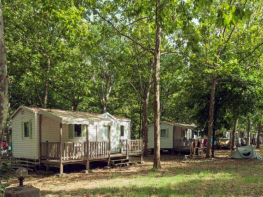 Camping Pas Cher vous présente avec son site Officiel campingpascher.fr, le Camping U Casone classé 3 étoiles, situé sur la commune de Ghisonaccia dans le département Corse Du Nord (Corse) en France. Le camping U Casone vous propose un hébergement de type mobil-home de 26 m². L'établissement vous propose 20 autres types d'hébergements. Découvrez tous nos séjours à petits prix dans la commune et aux alentours de Ghisonaccia du département : Corse Du Nord (Corse). Les Avis clients pour le Camping U Casone sont excellents avec une note moyenne de 8 sur 10. Mer, Piscine extérieure, Animation enfants, Aire de jeux enfants, Baby-foot, Canyoning, Centre équestre, Ping-pong, Plongée, Pétanque, Randonnée, Terrain de volley-ball, Terrain multisports, Bar, Boulangerie, Bureau de tabac, Dépôt de pain, Restaurant, Station-service, Supermarché, Épicerie,... En savoir plus : cliquez-ICI.