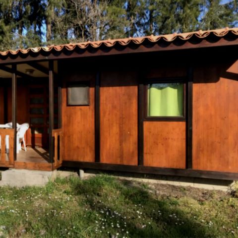Cliquez pour découvrir toutes les photos de l'HÉBERGEMENT ! chalet - U Casone - Maeva photo 2