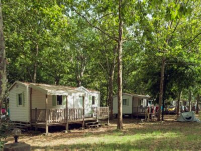 mobil-home - U Casone photo 1
