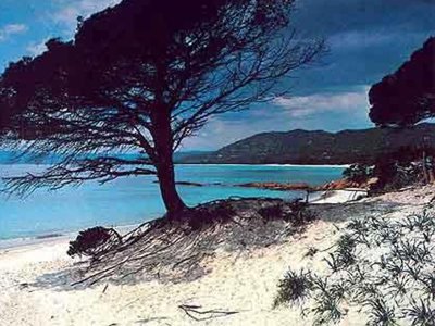 Cliquez pour découvrir toutes les photos de l'ÉTABLISSEMENT ! camping Bagheera Naturiste photo 20