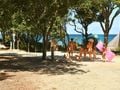 mobil-home - camping Bagheera Naturiste photo 5