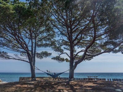 camping Merendella photo 2