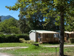 Camping Pas Cher vous présente avec son site Officiel campingpascher.fr, le Camping Merendella classé 4 étoiles, situé sur la commune de San Nicolao dans le département Corse Du Nord (Corse) en France. Le camping Merendella, vous présente un hébergement de type mobil-home avec climatisation. Le camping Merendella vous propose du sam. 13 décembre au sam. 20 décembre 2025 avec un DÉPART DEMAIN pour 7 nuits à 280€. Cette location propose 277 dates différentes pour réserver votre séjour. Découvrez également les 27 autres gammes d'hébergements du camping. Les Avis clients pour le Camping Merendella sont excellents avec une note moyenne de 8 sur 10. Mer, Piscine chauffée, Piscine couverte, Animations familiales, Club enfants, Aire de jeux enfants, Canoë-kayak, Centre équestre, Court de tennis, Golf, Jet-ski, Location de bateaux, Parcours sportif, Ping-pong, Plongée, Pétanque, Randonnée, Salle de fitness, Salle de jeux vidéo, Trampoline, Bar, Dépôt de pain, Pizzeria, Restaurant, Épicerie,... En savoir plus : cliquez-ICI.