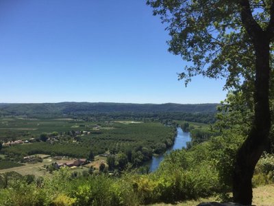Cliquez pour découvrir toutes les photos de l'ÉTABLISSEMENT ! camping Les Bois De Prayssac photo 12