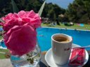 Cliquez pour découvrir toutes les photos de l'ÉTABLISSEMENT ! établissement Sea Green Cala Llevado photo 10