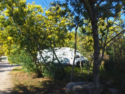 Cliquez pour découvrir toutes les photos de l'ÉTABLISSEMENT ! camping Du Riuferrer photo 11