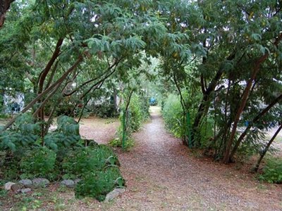 Cliquez pour découvrir toutes les photos de l'ÉTABLISSEMENT ! camping Du Riuferrer photo 16
