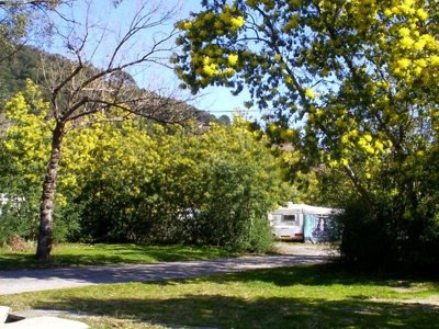 Cliquez pour découvrir toutes les photos de l'ÉTABLISSEMENT ! camping Du Riuferrer photo 19