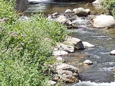 Cliquez pour découvrir toutes les photos de l'ÉTABLISSEMENT ! camping Du Riuferrer photo 29
