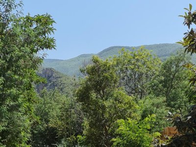 Cliquez pour découvrir toutes les photos de l'ÉTABLISSEMENT ! camping Du Riuferrer photo 30