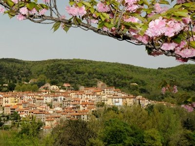 Cliquez pour découvrir toutes les photos de l'ÉTABLISSEMENT ! camping Amélia photo 13