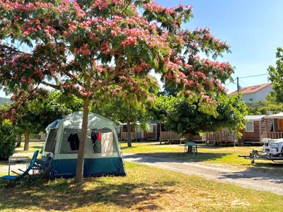 Cliquez pour découvrir toutes les photos de l'ÉTABLISSEMENT ! camping Amélia photo 22