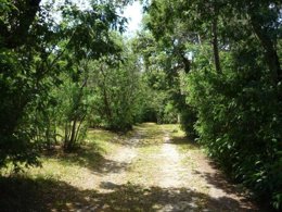 Camping Pas Cher vous présente avec son site Officiel campingpascher.fr, le Camping Las Planes classé 2 étoiles, situé sur la commune de Laroque Des Alberes dans le département Pyrénées-orientales (Languedoc-roussillon) en France. Le camping Las Planes vous propose un hébergement de type chalet de 25 m². L'établissement vous propose 2 autres types d'hébergements. Découvrez tous nos séjours à petits prix dans la commune et aux alentours de Laroque Des Alberes du département : Pyrénées-orientales (Languedoc-roussillon). Les Avis clients pour le Camping Las Planes sont excellents avec une note moyenne de 8 sur 10. Piscine extérieure, Centre équestre, Cyclisme, Ping-pong, Pétanque, Randonnée, Terrain multisports, Dépôt de pain, Snack/Bar,... En savoir plus : cliquez-ICI.