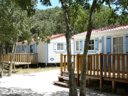 Cliquez pour découvrir toutes les photos de l'ÉTABLISSEMENT ! camping Les Micocouliers photo 6