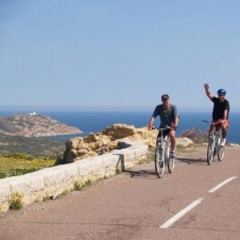 Cliquez pour découvrir toutes les photos de l'ÉTABLISSEMENT ! établissement L'Esperanza photo 5