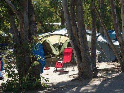Cliquez pour découvrir toutes les photos de l'ÉTABLISSEMENT ! camping International photo 29