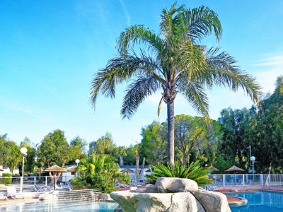 Cliquez pour découvrir toutes les photos de l'ÉTABLISSEMENT ! camping International photo 4