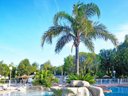 Cliquez pour découvrir toutes les photos de l'ÉTABLISSEMENT ! camping International photo 4