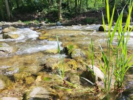 Camping Pas Cher vous présente avec son site Officiel campingpascher.fr, le Camping L'eau Vive classé 3 étoiles, situé sur la commune de Vernet Les Bains dans le département Pyrénées-orientales (Languedoc Roussillon) en France. Le camping L'eau Vive, vous présente un hébergement de type chalet de 20 m² pour 1 personne. Le camping L'eau Vive vous proposeun séjour PAS CHER avec une REMISEdu sam. 04 juillet au sam. 11 juillet 2026, en promotion à -30% pour 7 nuits à 420 € au lieu de 600,0 € soit une Économie de 180 €. Cette location propose 120 dates différentes pour réserver votre séjour. Découvrez également les 10 autres gammes d'hébergements du camping. Les Avis clients pour le Camping L'eau Vive sont excellents avec une note moyenne de 9 sur 10. Rivière, Piscine chauffée, Piscine extérieure, Animations familiales, Aire de jeux enfants, Baby-foot, Cyclisme, Ping-pong, Pétanque, Randonnée, Terrain de beach-volley, Terrain de volley-ball, Terrain multisports, Trampoline, Bar, Plats à emporter, Restaurant,... En savoir plus : cliquez-ICI.