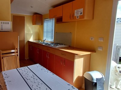 Cliquez pour découvrir toutes les photos de l'HÉBERGEMENT ! mobil-home - La Cigale De L'Allier photo 3