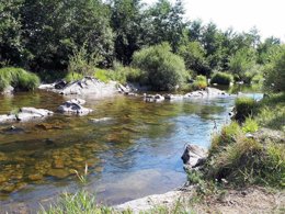 Camping Pas Cher vous présente avec son site Officiel campingpascher.fr, le Camping La Cigale De L'Allier classé 3 étoiles, situé sur la commune de Langogne dans le département Lozere (Languedoc Roussillon) en France. Le camping La Cigale De L'Allier, vous présente un hébergement de type mobil-home pour 4 personnes. Le camping La Cigale De L'Allier vous propose du sam. 05 septembre au sam. 12 septembre 2026 pour 7 nuits à 370€. Cette location propose 108 dates différentes pour réserver votre séjour. Découvrez également les 9 autres gammes d'hébergements du camping. Les Avis clients pour le Camping La Cigale De L'Allier sont de 7 sur 10. LacRivière, Piscine chauffée, Piscine extérieure, Aire de jeux enfants, Baby-foot, Canoë-kayak, Cyclisme, Flipper, Golf, Ping-pong, Pétanque, Randonnée, Terrain de badminton, Terrain de football, Terrain de volley-ball, Voile, Bar, Boulangerie, Bureau de tabac, Dépôt de pain, Plats à emporter, Snack/Bar, Station-service,... En savoir plus : cliquez-ICI.