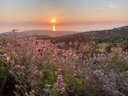 établissement Le Panoramic photo 10