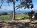 établissement Le Panoramic photo 6