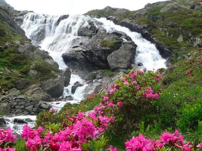Cliquez pour découvrir toutes les photos de l'ÉTABLISSEMENT ! camping Flower La Bexanelle photo 28
