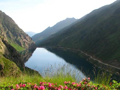 Cliquez pour découvrir toutes les photos de l'ÉTABLISSEMENT ! camping Flower La Bexanelle photo 30
