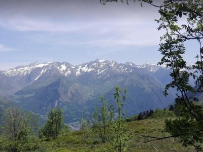 camping Les Tilleuls photo 7