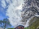 Cliquez pour découvrir toutes les photos de l'HÉBERGEMENT ! mini-maison - camping Les Tilleuls photo 10
