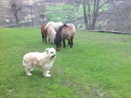 Camping Pas Cher vous présente avec son site Officiel campingpascher.fr, le Camping Les Tilleuls, situé sur la commune de Gedre dans le département Hautes-pyrénées (Midi Pyrénées) en France. Le camping Les Tilleuls, vous présente un hébergement de type mini-maison de 10 m² pour 1 personne. Le camping Les Tilleuls vous propose du sam. 25 avril au sam. 02 mai 2026 pour 7 nuits à 318€. Cette location propose 28 dates différentes pour réserver votre séjour. Découvrez également les 10 autres gammes d'hébergements du camping. Les Avis clients pour le Camping Les Tilleuls sont excellents avec une note moyenne de 9 sur 10.... En savoir plus : cliquez-ICI.