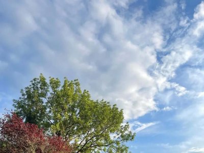 Cliquez pour découvrir toutes les photos de l'ÉTABLISSEMENT ! camping La Cremade photo 10