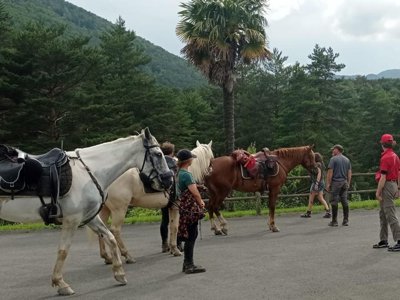 Cliquez pour découvrir toutes les photos de l'ÉTABLISSEMENT ! camping La Cremade photo 6