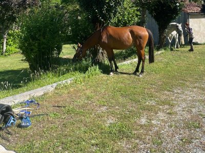 Cliquez pour découvrir toutes les photos de l'ÉTABLISSEMENT ! camping La Cremade photo 9