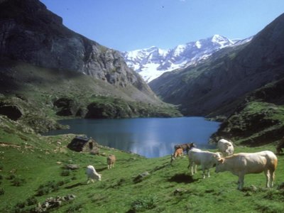 camping Sites Et Paysages - Pyrénévasion photo 30