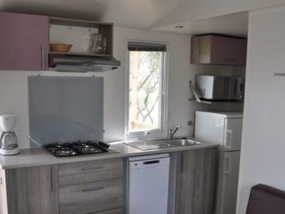 Cliquez pour découvrir toutes les photos de l'HÉBERGEMENT ! mobil-home - Le Fun photo 2
