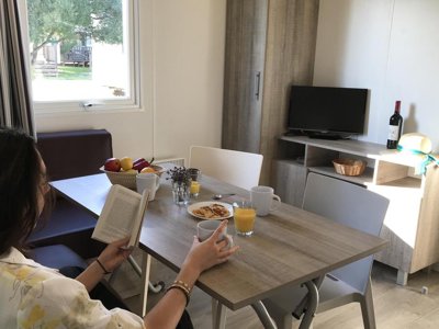 Cliquez pour découvrir toutes les photos de l'HÉBERGEMENT ! mobil-home - Le Fun photo 7