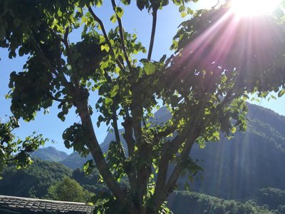 Cliquez pour découvrir toutes les photos de l'HÉBERGEMENT ! mobil-home - Du Valentin photo 5