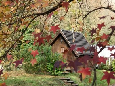 chalet - Des Gaves photo 1