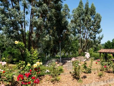 Cliquez pour découvrir toutes les photos de l'ÉTABLISSEMENT ! camping Maeva Respire Domaine De La Serre photo 13