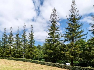 Cliquez pour découvrir toutes les photos de l'ÉTABLISSEMENT ! camping Maeva Respire Domaine De La Serre photo 20