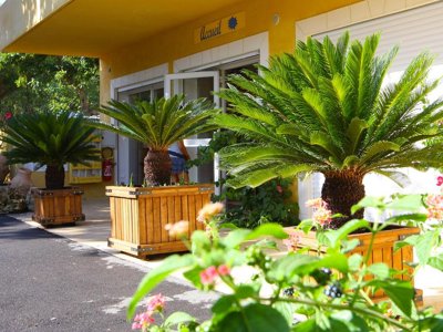 camping International photo 3