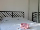 appartement - camping International photo 7