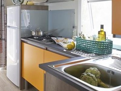 Cliquez pour découvrir toutes les photos de l'HÉBERGEMENT ! mobil-home - Domaine Du Château-Epinal photo 2