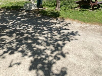 Cliquez pour découvrir toutes les photos de l'ÉTABLISSEMENT ! camping Municipal La Justale photo 19